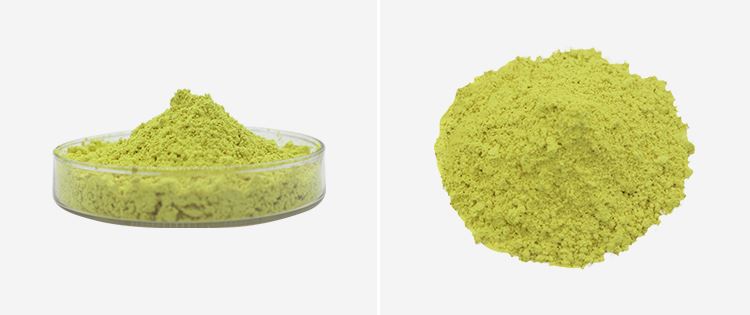 Quercetin Anhydrous 2