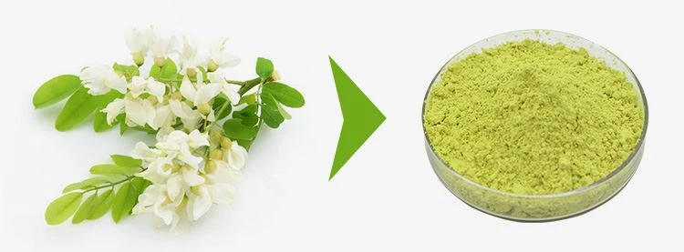 Quercetin Dihydrate Powder 1