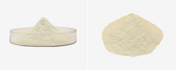 Chitosan Supplier 2