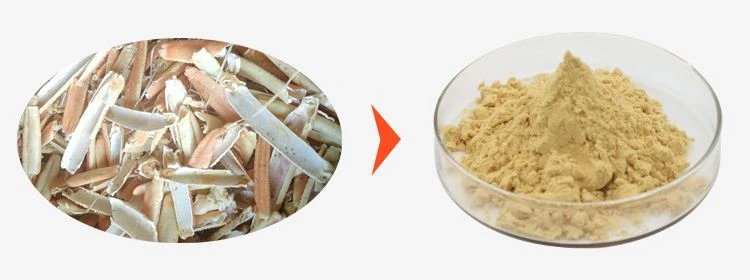 Chitosan Oligosaccharide Powder 1