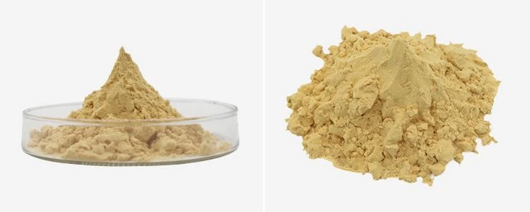 Chitosan Oligosaccharide Powder 2