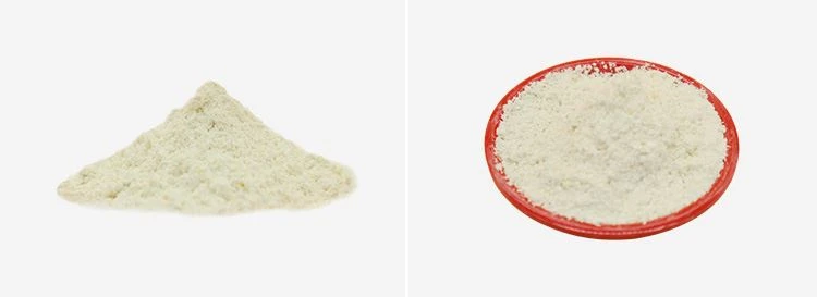 Ferulic Acid Powder 2
