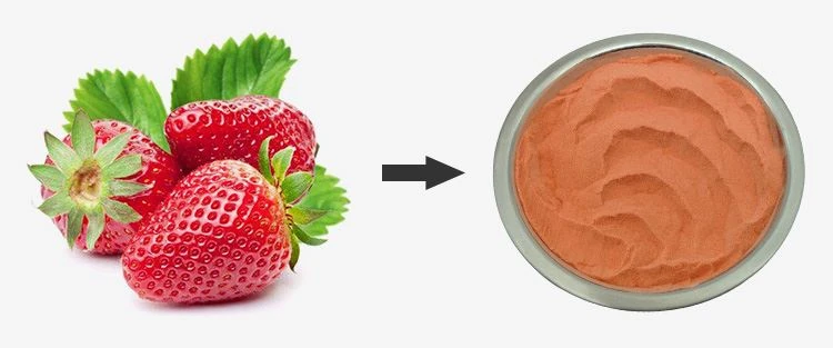 Strawberry Juice Powder 1 Strawberry Juice Powder 1