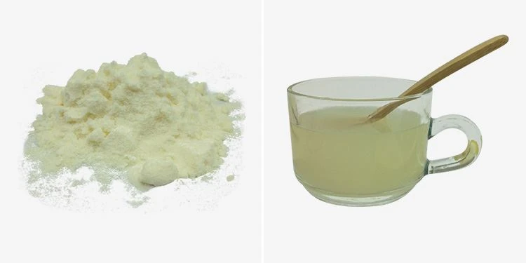 Lemon Juice Powder Bulk 2 Lemon Juice Powder Bulk 2