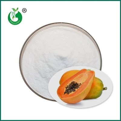 orgaaniline papaiinipulber