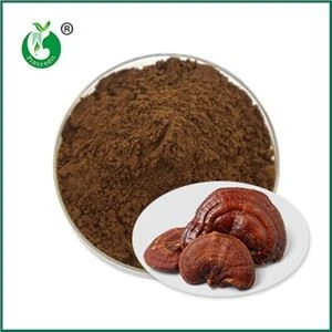 Ganoderma spooripulbri toime ja vastunäidustused
