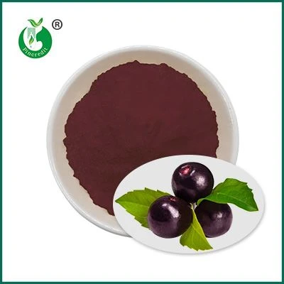 Acai marjamahla pulber