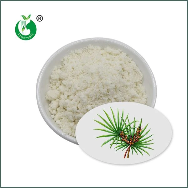 Saetud Palmetto ekstrakti pulber