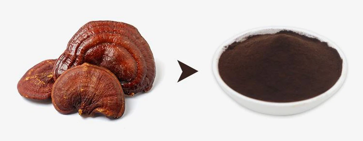 Reishi Spore Powderjpg Reishi Spore Powderjpg