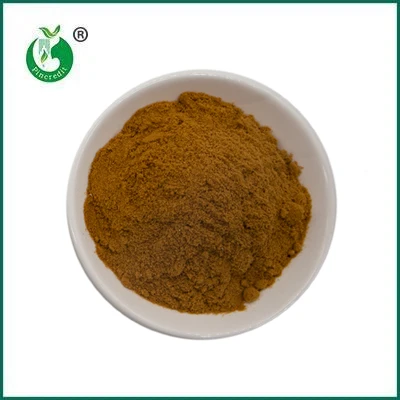 Pincredit Hot Sale orgaaniline seeneekstrakti pulber