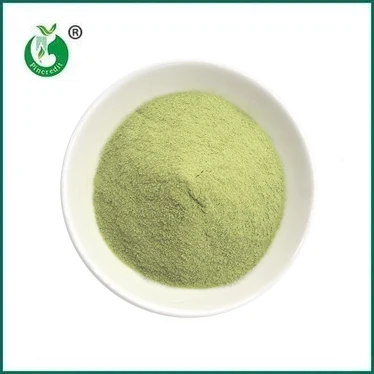 UUS SAABUMINE: Matcha Latte pulber