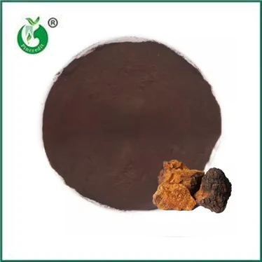 Chaga ekstrakti pulbri eelised ja kasutusalad