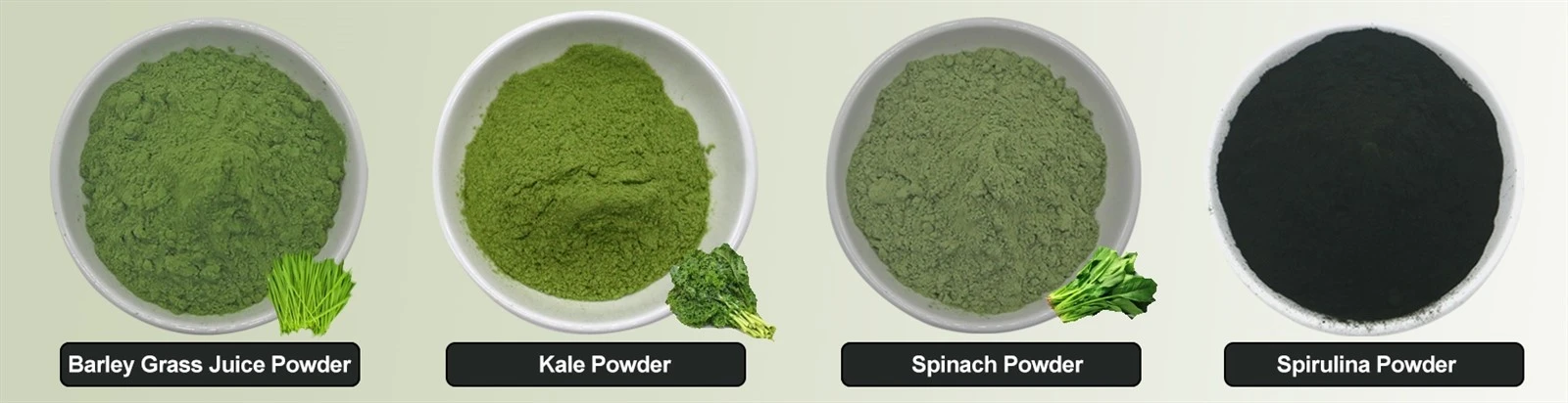 Organic Green Superfood Powder