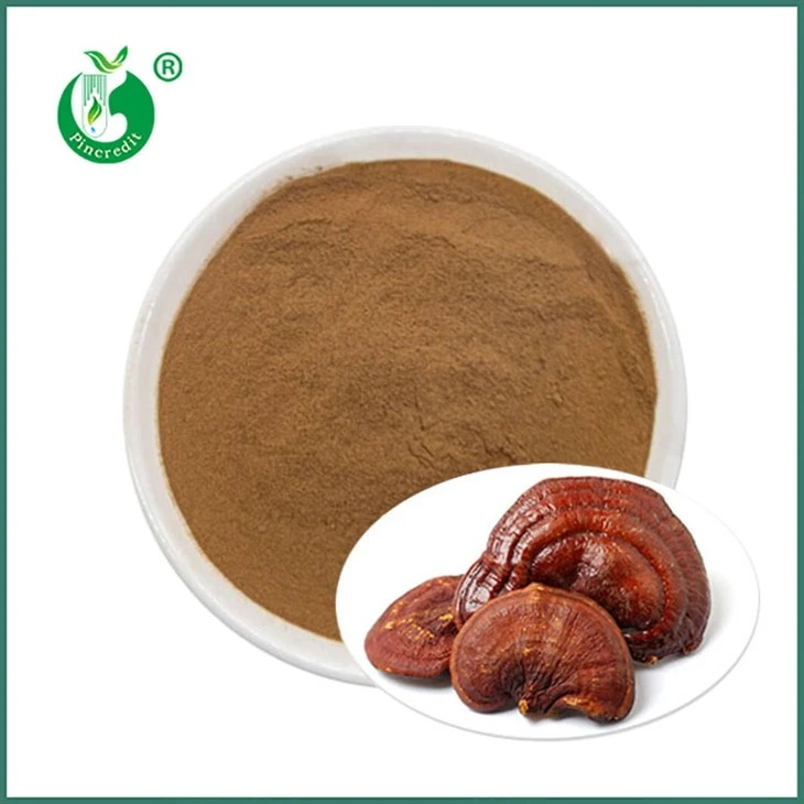 Reishi ekstrakti pulber